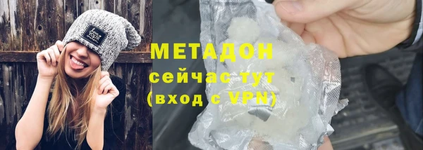 стаф Алзамай