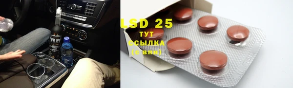 стаф Алзамай