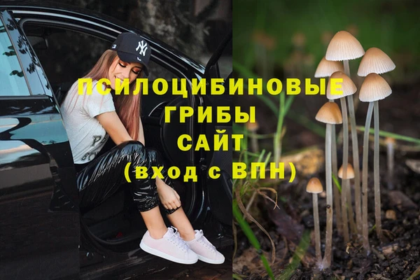 синтетический гашиш Алексеевка