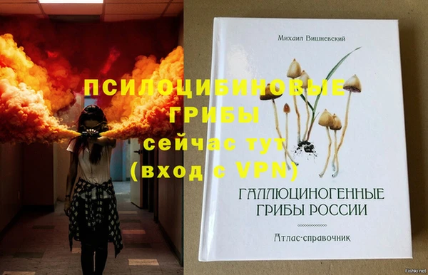 синтетический гашиш Алексеевка