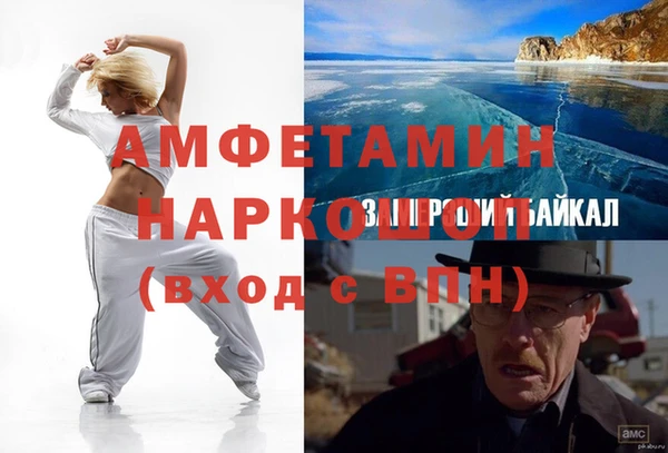 стаф Алзамай