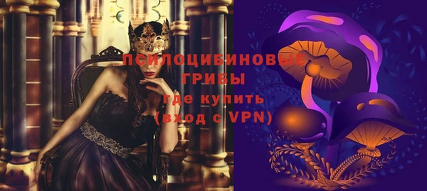 стаф Алзамай