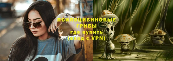 синтетический гашиш Алексеевка