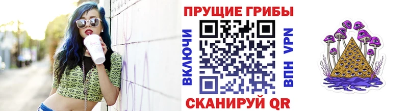 Галлюциногенные грибы Cubensis  наркошоп  Киреевск 