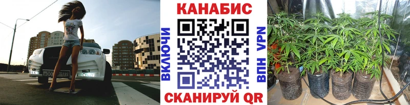 Шишки марихуана гибрид  ссылка на мегу зеркало  Киреевск  хочу  